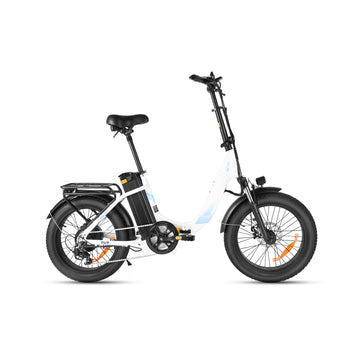 Wkdog CU7 E-Bike 48V 15Ah